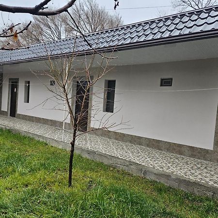 Galstyans Hotel Evn Airport P'arak'ar Экстерьер фото